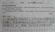 三年级观后感：电影《夺冠》观后感_900字