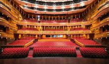 观上海大剧院《舞韵讲座》有感_750字