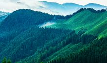 三年级观后感：《怪兽大学》观后感_400字