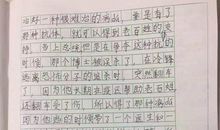 三年级观后感：《极地特快》观后感_650字