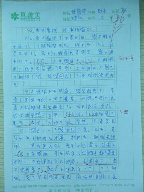 《乌龟与野兔》后续作文_800字