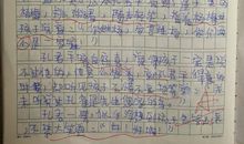 改写《杨氏之子》_450字