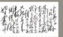 改写《卜算子·咏梅》_800字