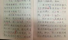 中学的感受_1200字