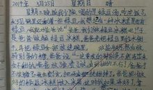 高二诗歌作文：写给父亲_450字