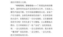 寒假见闻_1200字