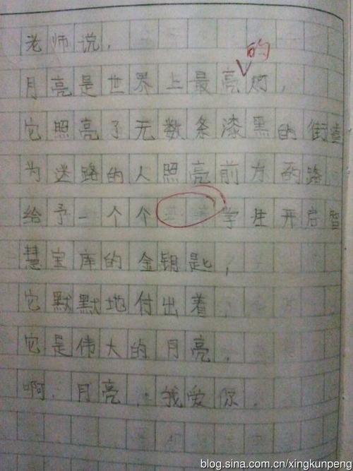 刻骨铭心的模仿“我的老师” _800字