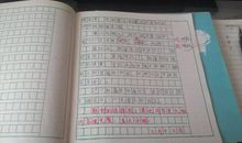 初一日记作文：快乐的周末（三）_900字