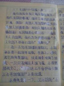 仅一步之遥-civilization_300字