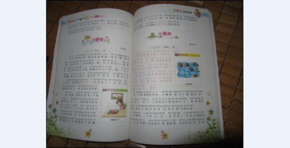抢救小燕_300字