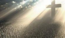 莉莉安的微笑_500字