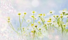 走出迷雾，便是晴天_400字