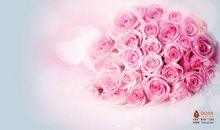 让平安之花在我们身边绽放_600字