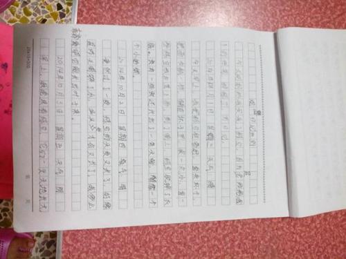 四本观察日记_650字