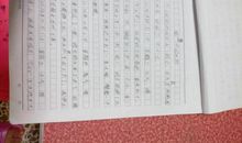 观察日记四则_650字