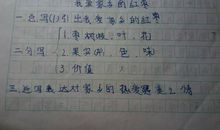 作文经验：写好作文先学会观察_750字