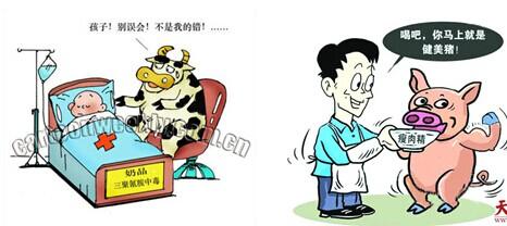 安全成分：我们还能吃什么？ -谈谈食品安全带来的思想_1000字
