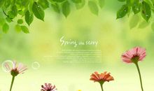 六年级写景作文：最美的风景_250字