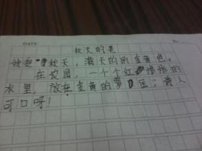 写作和写作_250字的口头禅