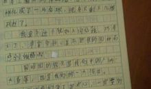 作业里的爱_450字