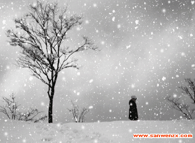 关于雪的构图：snow_400个单词中的一个小花园