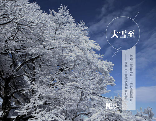 关于雪的作文：雪花飘飘_600个单词