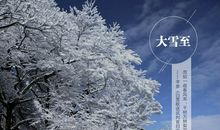 关于雪的作文：雪花儿飘飘_600字
