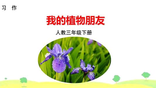 三年级作文：我厂的朋友_800字