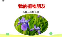 三年级状物作文：我的植物朋友_800字
