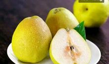 我喜欢的水果——梨_350字