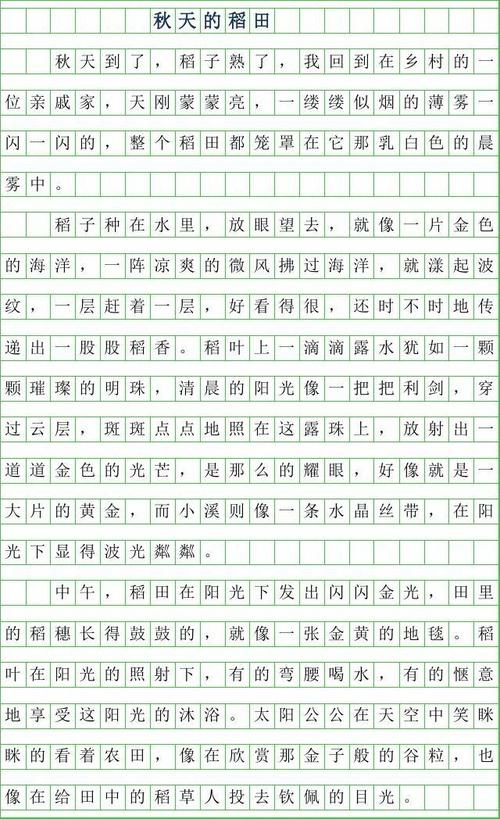 三年级组成：稻田_600字