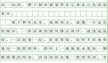 三年级状物作文：稻田_600字