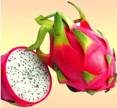 我最喜欢的水果-dragon fruit_550个单词