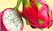 我最喜欢吃的水果——火龙果_550字