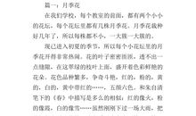 一年级状物作文：梨花三千_550字