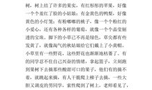 三年级童话寓言作文：水果选美比赛_550字