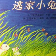 离家出走的兔子_900个单词