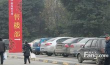 二“拳”映月_800字