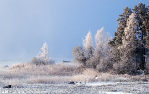 Winter_50字