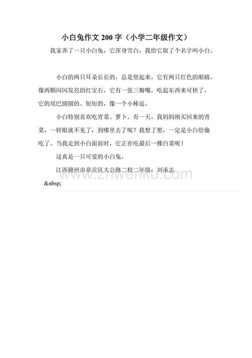 小白兔200字
