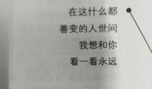 初一读后感：《我不喜欢这世界我只喜欢你》_1200字