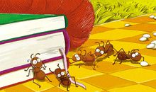 蚂蚁搬虫虫_50字