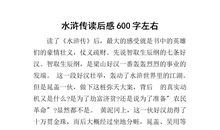 《追风筝的孩子》读后感_600字