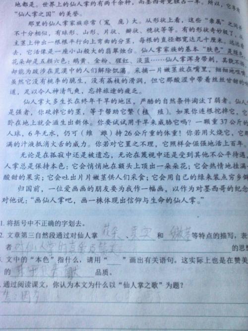 阅读_900个单词后的“银仙人掌”