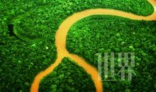 《神奇的亚马逊河》读后感_1200字