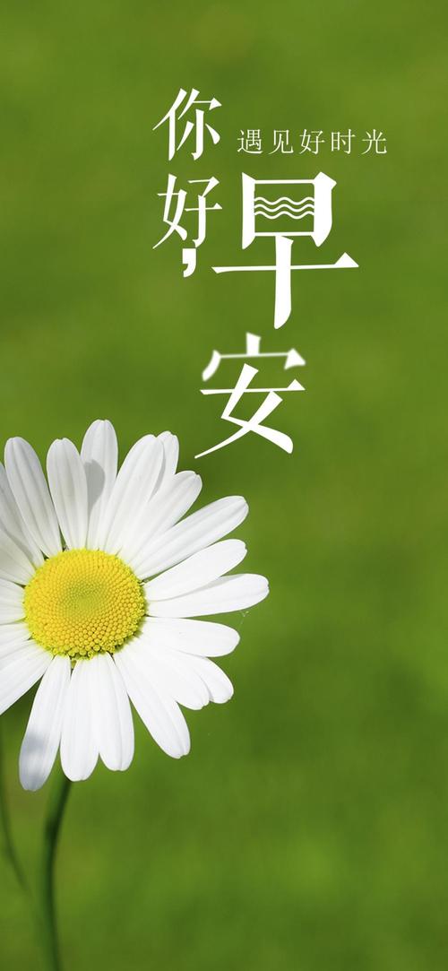 时间依旧如此美好_750字