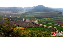 七彩中国梦_800字