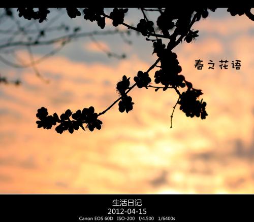 幸福是自然的_400字