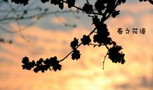 快乐就在自然中_400字