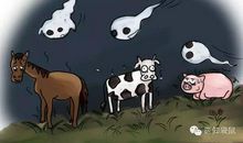 万圣节的童话故事：万圣节的童话故事